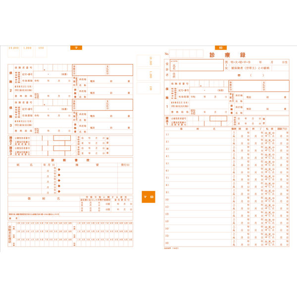 シンリョウ　カラーナンバーカルテA-60　001416　1箱（100枚入）　（取寄品）