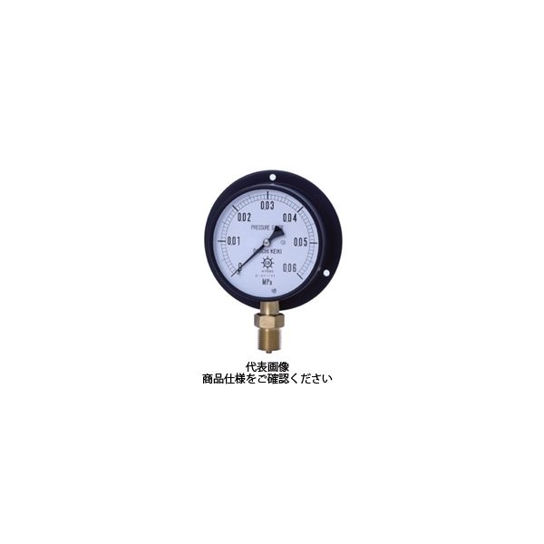 第一計器製作所 FIRST GAGE 鉄ケース IPT-341B-70MPA 1台（直送品）