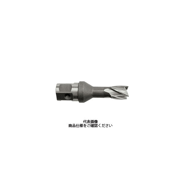 育良精機 25SQハイスカッター HCSQ145 LB30・40用 1セット(2ケ)（直送品）