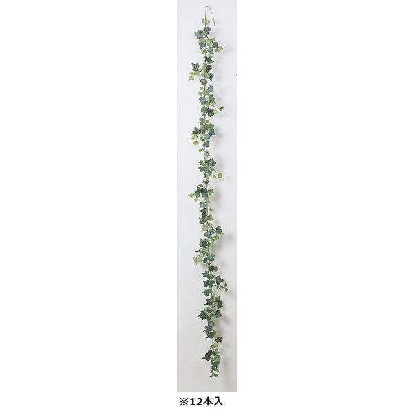 アイビーガーランド A-40719-051F 1箱(12本入) asca(アスカ) (直送品)