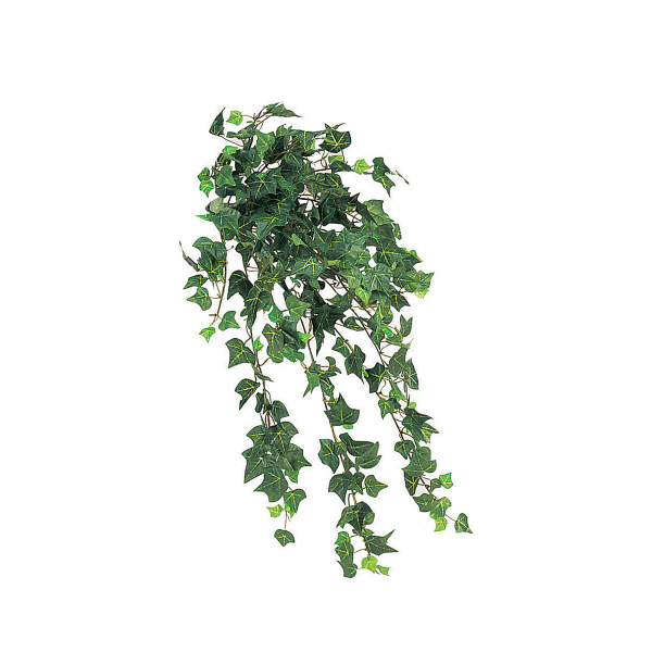 タカショー 人工観葉植物 アイビーブッシュグリーン ハンギング 50cm 1セット（2本入 ）（直送品）
