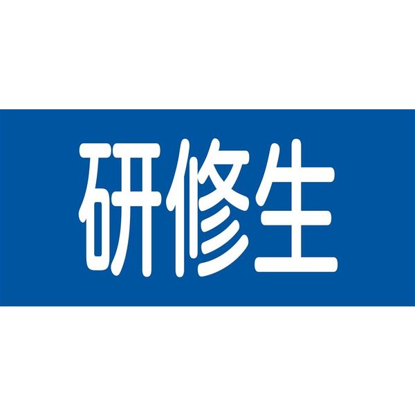 日本緑十字社 ゴム腕章 GWー13L 「研修生」 139613 1セット(2本)（直送品）