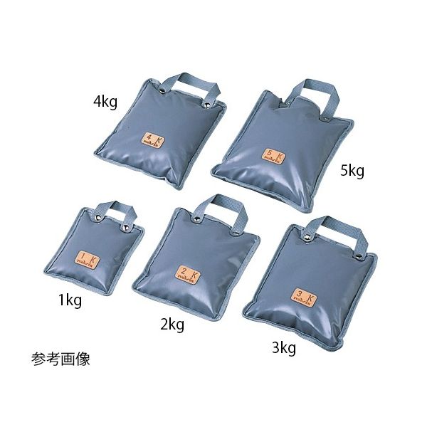 アズワン 砂袋 手提式1kg 200×160グレー 0-620-01 1セット(2個)（直送品）