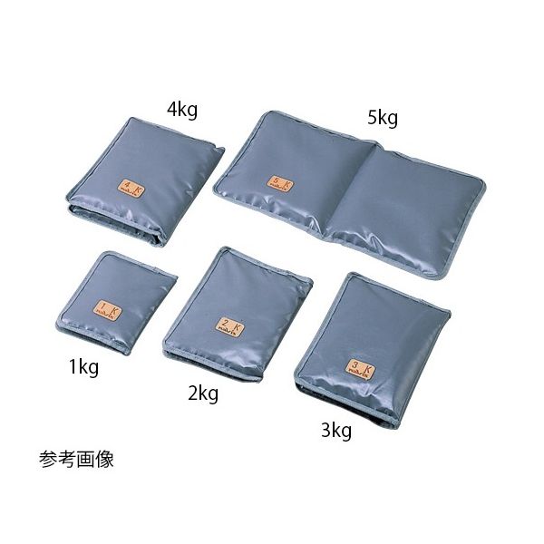 アズワン 砂袋 病室用500g 150×220グレー 0-620-11 1セット(2個)（直送品）