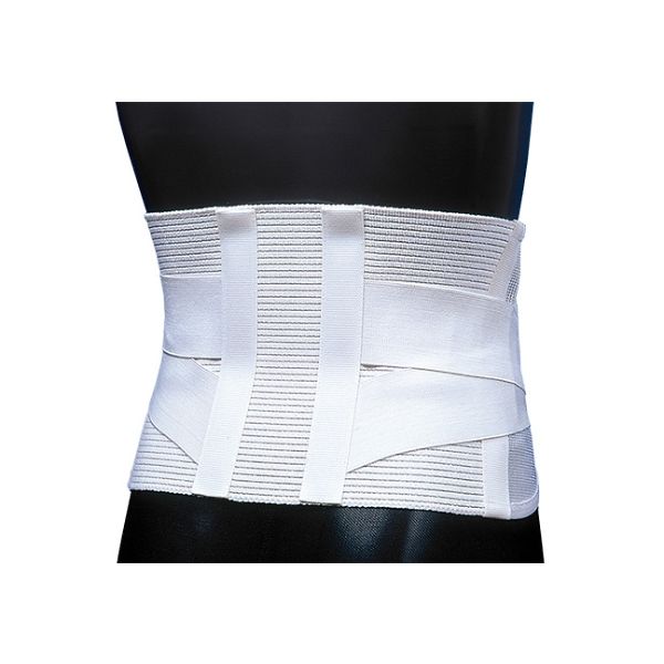 日本衛材 ダイヤサポートII型[腰部固定帯メッシュタイプ] L NE-563 1セット(2個) 0-5078-03（直送品）