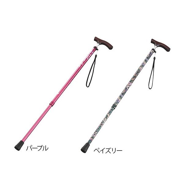 光華 伸縮杖(スリムネックタイプ) ペイズリー(女性用) B059-608SD-677 1本 8-6961-02（直送品）