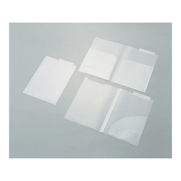 アズワン カルテホルダー 両面ホルダー付 50枚入 DB 1袋(50枚) 8-5962-01（直送品）