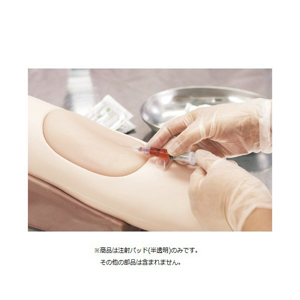 臨床医の注射と処方 : 適切で安全な処方の実際 臨床医の注射と処方 : 適切で安全な処方の実際 臨床医の