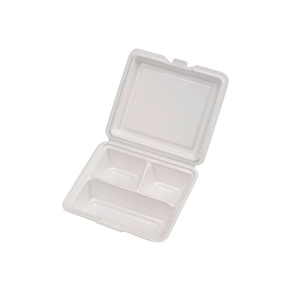 ケーピープラテック ランチボックス Kランチ-53-T ムジ 400枚(25×16) 14158 1ケース(400枚入(25枚×16袋))（直送品）