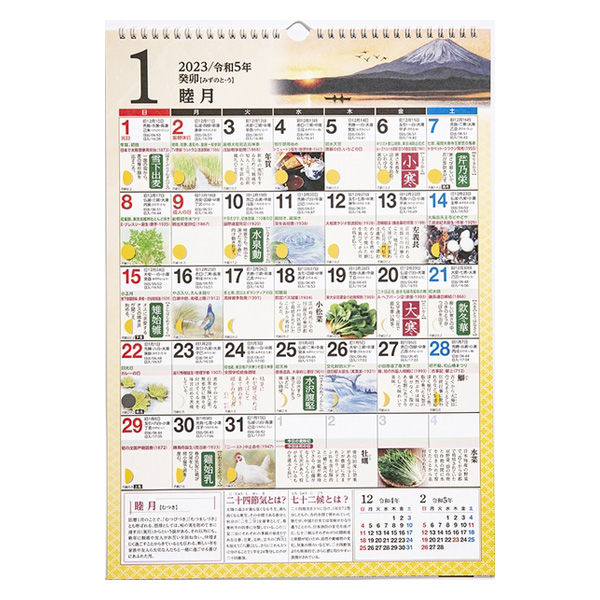 高橋書店 【2023年版】歳時記カレンダー E551 1冊（直送品）