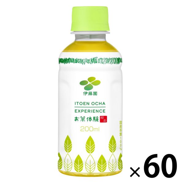 伊藤園 お茶体験 緑茶 200ml 1セット（60本） お茶 小容量 ペットボトル 【接客】 - アスクル