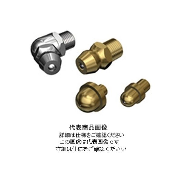 楽天市場】【送料無料】毎日新鮮! 無塩! 36日分の生くるみ