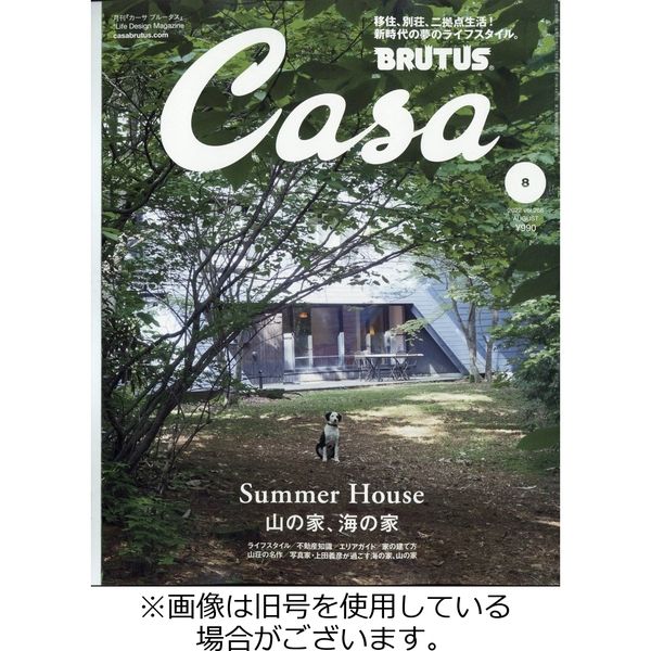 CasaBRUTUS(カーサブルータス) 2022/11/10発売号から1年(12冊)（直送品）