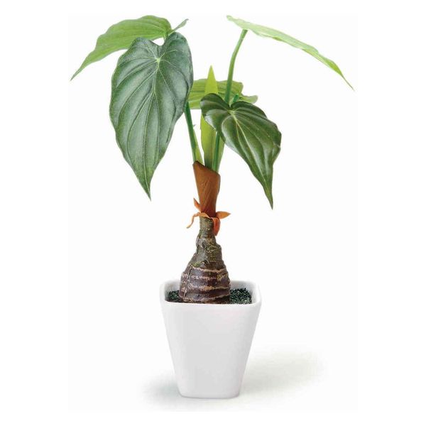 ケーアイジャパン 人工観葉植物 アロカシア 30cm フェイクグリーン 造花 光触媒 328063 1個（取寄品）