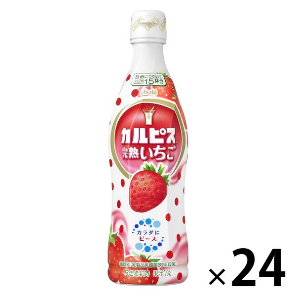 アサヒ飲料 カルピス 完熟いちご（希釈用）プラスチックボトル 470ml 1