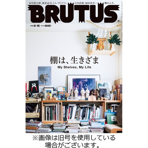 BRUTUS(ブルータス)2022年9月15日号 - その他