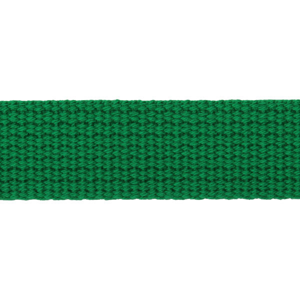 清原 カラーテープ　２５ｍｍ　グリーン SUN56-54 1セット（12袋）（直送品）