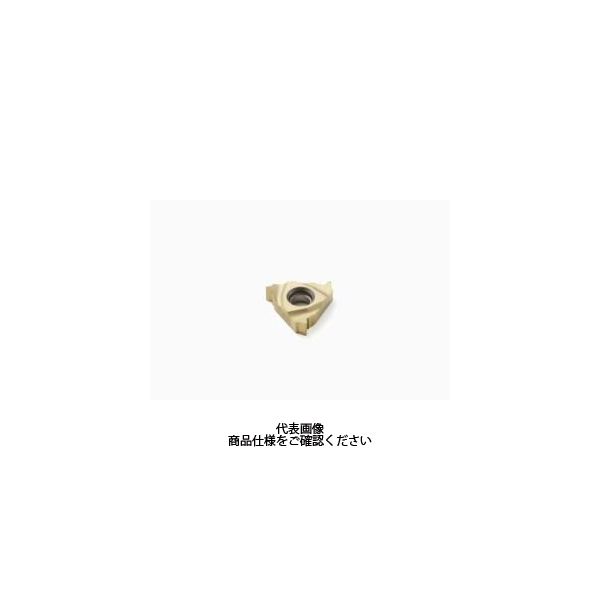 セコ・ツールズ・ジャパン 旋削 ねじ切り用チップ 16NR14WCP200 1セット(2個)（直送品） 7,137円