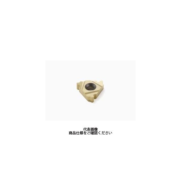 セコ・ツールズ・ジャパン 旋削 ねじ切り用チップ 22EL6RDCP500 1セット(2個)（直送品） 10,118円