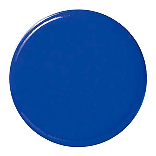 日本緑十字社 強磁力カラーマグネット(ボタン型) 青 WMGー461BL 18Φ×9mm 3個組 両面磁力 315015 1組(3個)（直送品）