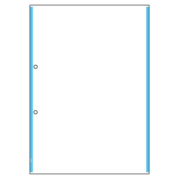 Ａ４ノーカーボン白紙２穴 ブルーライン BPC2200 2冊（直送品） - アスクル