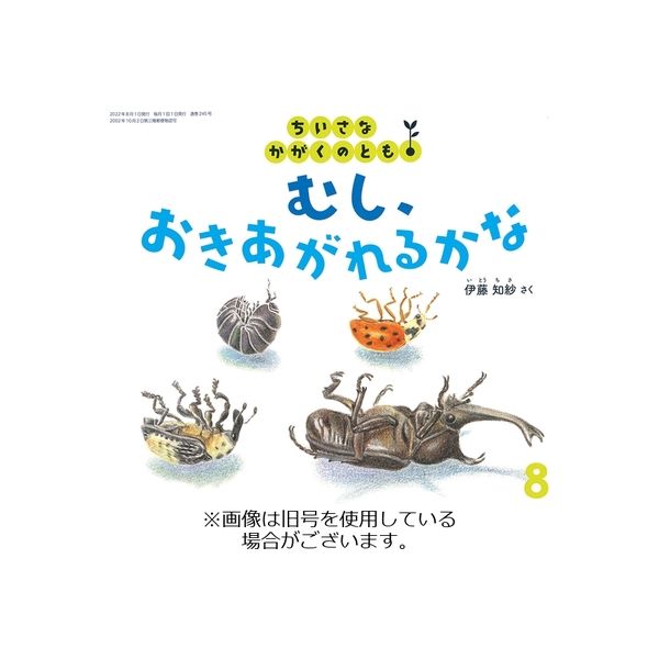 ちいさなかがくのとも 2022/09/02発売号から1年(12冊)（直送品）