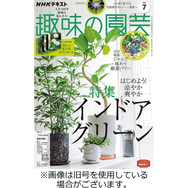 NHK 趣味の園芸 2022/10/21発売号から1年(12冊)（直送品）