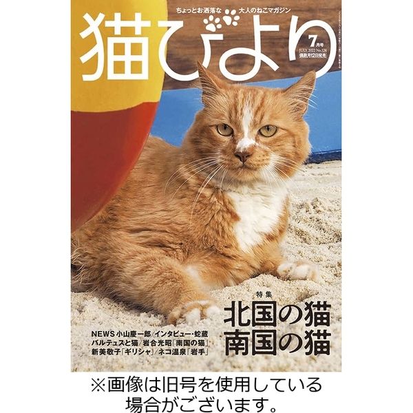 猫びより 2022/10/12発売号から1年(6冊)（直送品） - アスクル
