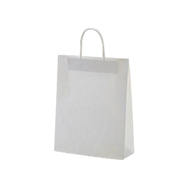 福助工業 紙袋 紙手提袋 ラッピーバッグNo.2 晒無地 200枚(50×4) 00084205 1ケース(200枚入(50枚×4袋))（直送品）