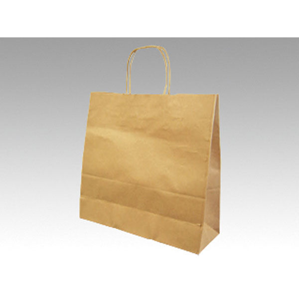 紙袋 紙手提袋 ラッピーバッグ No.3 未晒無地【weeco】 300枚(50×6) 00170467（直送品）