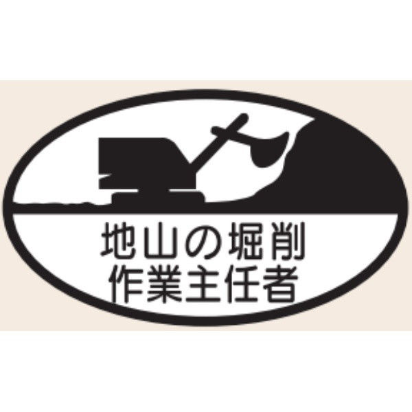 トーアン ヘルステ16 地山の掘削作業主任 07-016 1セット（50枚）（直送品）