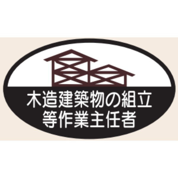 トーアン ヘルステ67 木造建築物の組立等 07-063 1セット（50枚）（直送品）