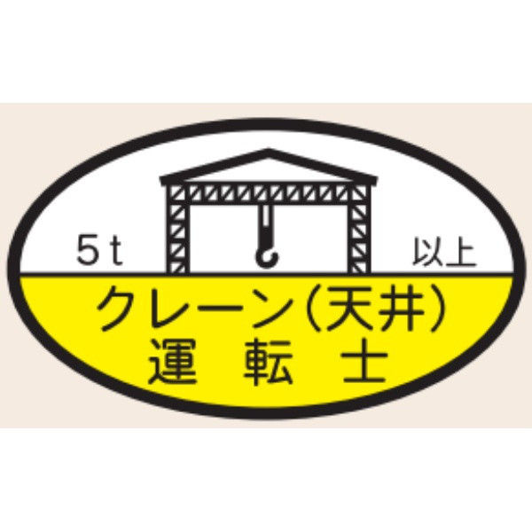 トーアン ヘルステ75Cクレーン（天井）運転 5t以上 07-075 1セット（50枚）（直送品）