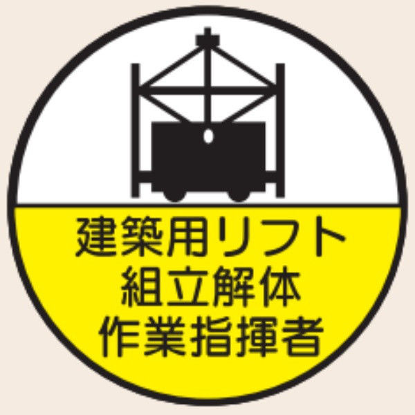 トーアン ヘルステ丸69 建築用リフト組立解体 07ー466 07-466 1セット(50枚)（直送品）