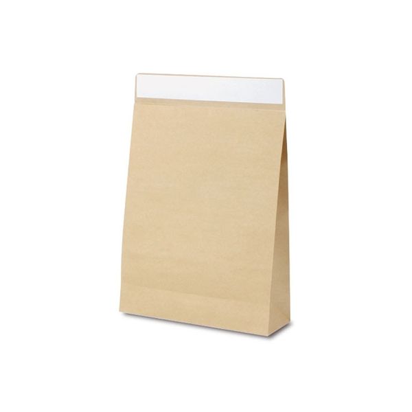 ベルベ 通販 梱包 フラップバッグ 宅配袋(茶無地)L 2539 1セット(1袋(10枚)×10)（直送品）