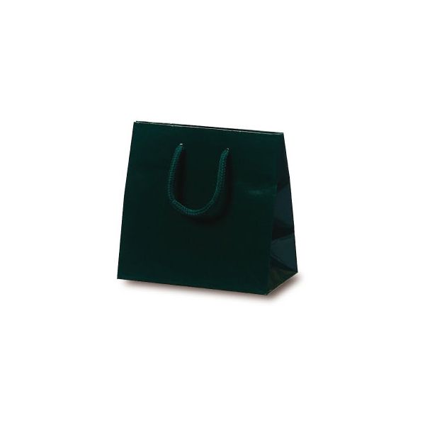 ベルベ 手提げ 紙袋 キュートバッグ ダークグリーン 5932 1包：100枚（10×10）（直送品）