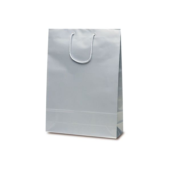 ベルベ 手提げ 紙袋 エクセルバッグ シルバー 1102 1包：50枚（10×5）（直送品）