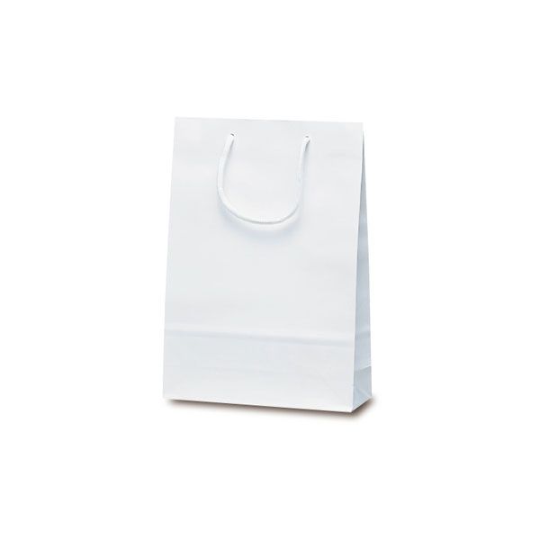 ベルベ 手提げ 紙袋 ナイスバッグ ホワイト 1150 1セット(1包(10枚)×5)（直送品）