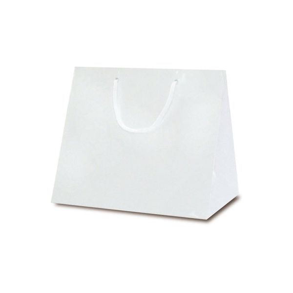 ベルベ 手提げ 紙袋 手提袋 ファインバッグ 220ワイド 1179 1包：50枚（10×5）（直送品）