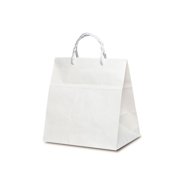 ベルベ 紙袋 PP紐手提袋 T-ワイド 白無地（PP紐） 1738 1包：100枚（50×2）（直送品）