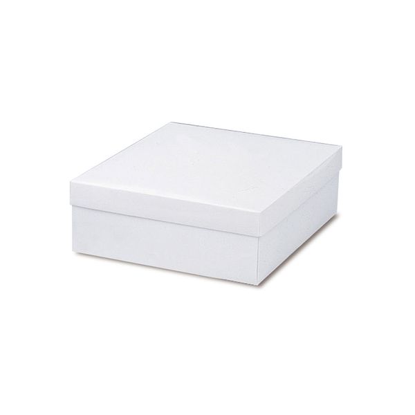 ベルベ ギフトBOX マルチボックス ホワイト 11号 5035 1包：50枚（10×5）（直送品）