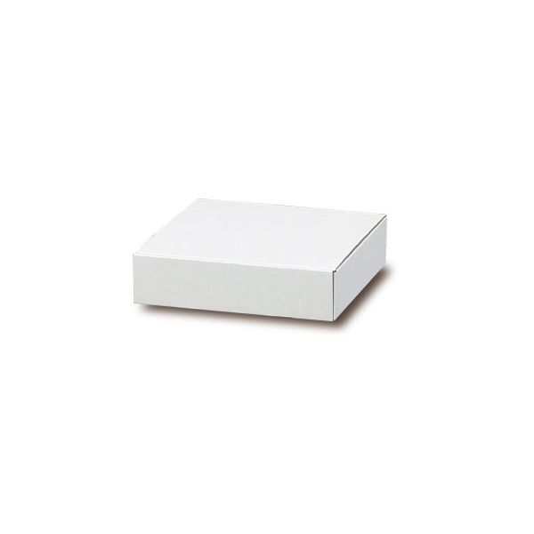 ベルベ ギフト 梱包用 イージーボックス No.17 5163 1包：50枚（5×10）（直送品）