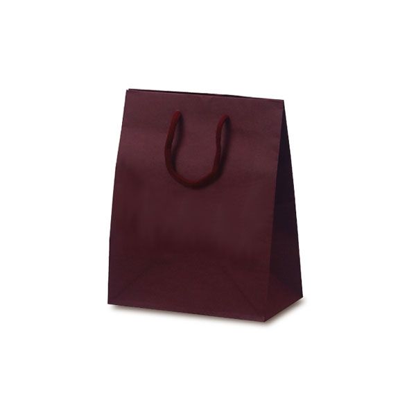 ベルベ 紙袋 1024 手提袋 T-2 カラークラフト ワイン 1024 1包：100枚（10×10）（直送品）
