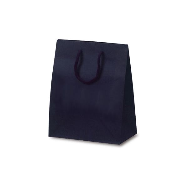 ベルベ 紙袋 1025 手提袋 T-2 カラークラフト ネイビー 1025 1包：100枚（10×10）（直送品）