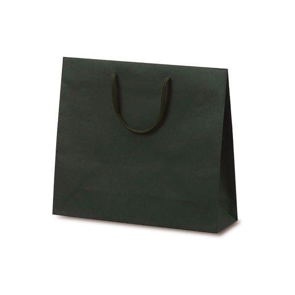 ベルベ 紙袋 1030 手提袋 T-6 カラークラフト グリーン 1030 1包：100枚（10×10）（直送品）