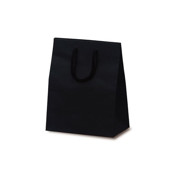 ベルベ 紙袋 1037 手提袋 T-2 カラークラフト ブラック 1037 1包：100枚（10×10）（直送品）