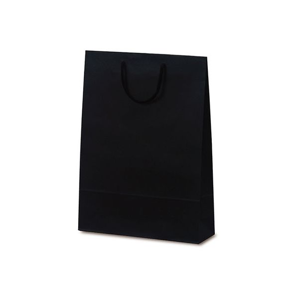 ベルベ 紙袋 1039 手提袋 T-8 カラークラフト ブラック 1039 1包：100枚（10×10）（直送品）