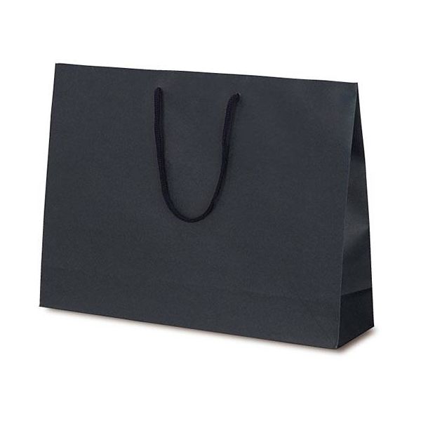 ベルベ 紙袋 手提袋 T-Y カラークラフト ネイビー 1041 1包：100枚（10×10）（直送品）