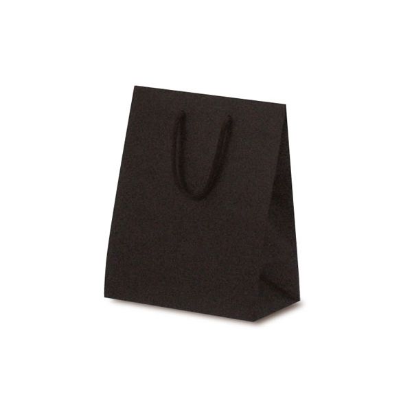 ベルベ 紙袋 1051 手提袋 T-2 カラークラフト ブラウン 1051 1包：100枚（10×10）（直送品）