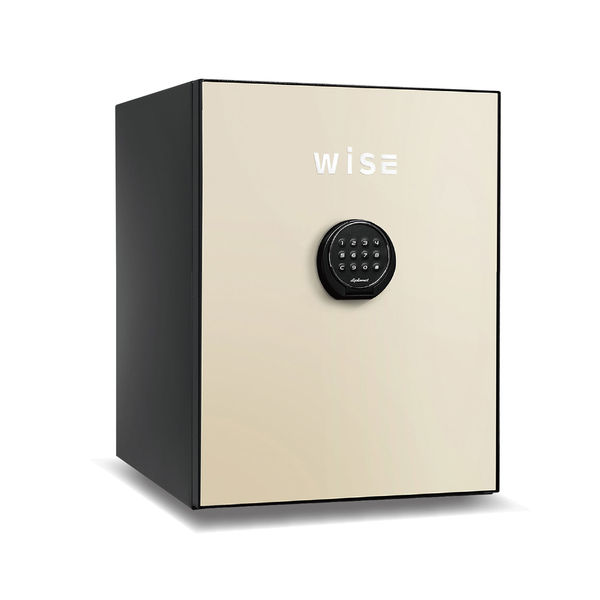 【設置込】 ディプロマット WISEプレミアムセーフ テンキー式耐火金庫 （60分耐火） 36L クリーム WS500ALC 1台（直送品）